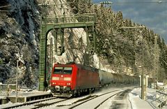 Zu kalt für die Eiswürmer