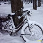 Zu kalt um Fahrrad zu fahren