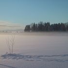 Zu kalt zum Eisfischen?