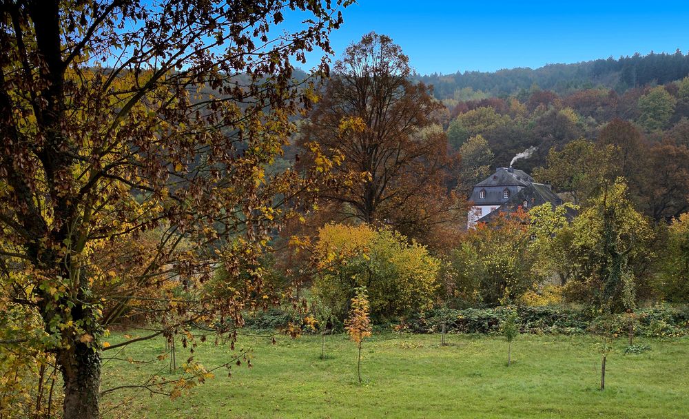 Zu Kloster Eberbach...