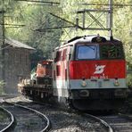 "Zu kurzer, goldener Herbst", nähe Wagnerviadukt, 07.10.2010