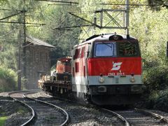 "Zu kurzer, goldener Herbst", nähe Wagnerviadukt, 07.10.2010