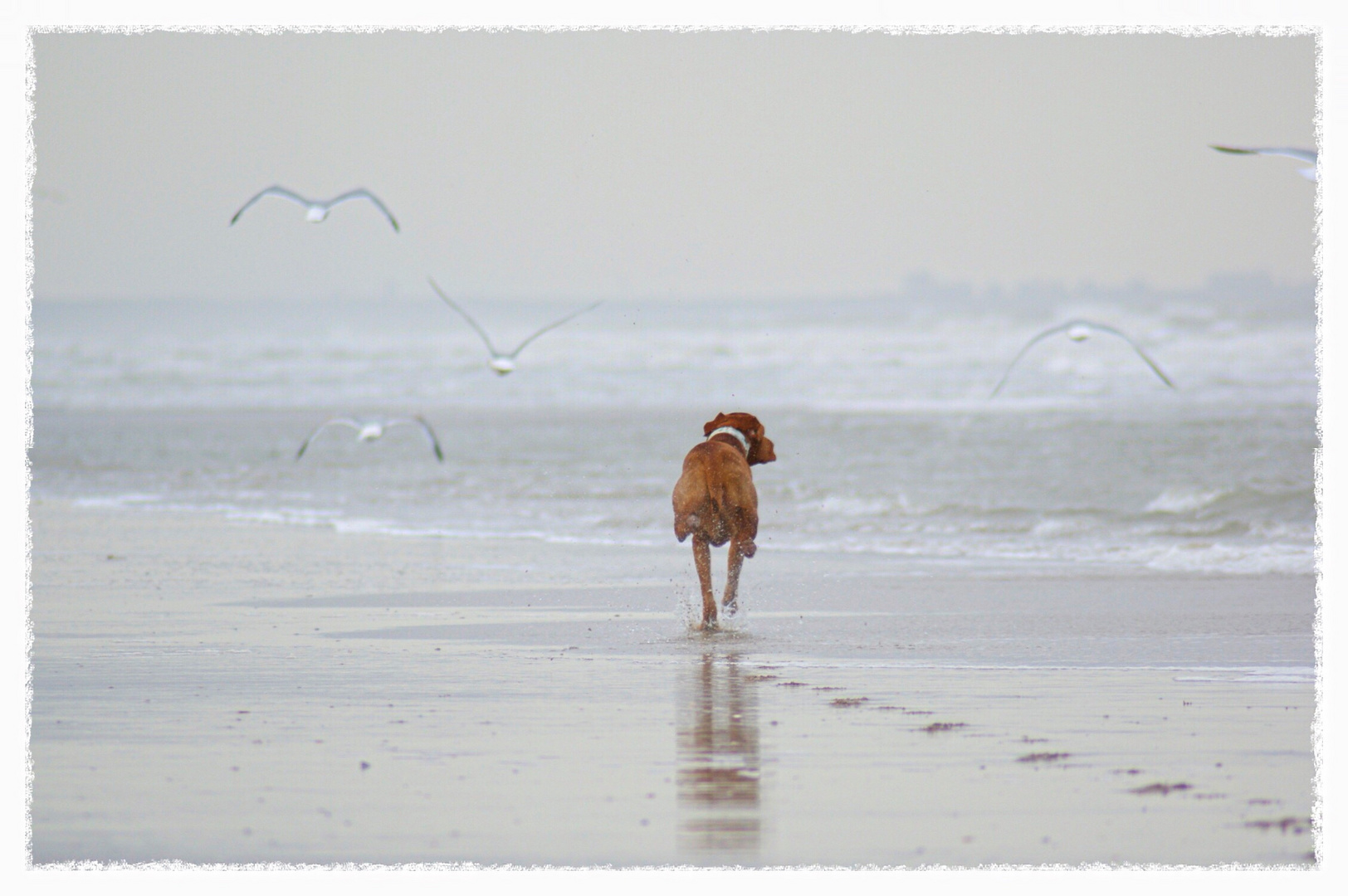 zu Lande, zu Wasser und in der Luft