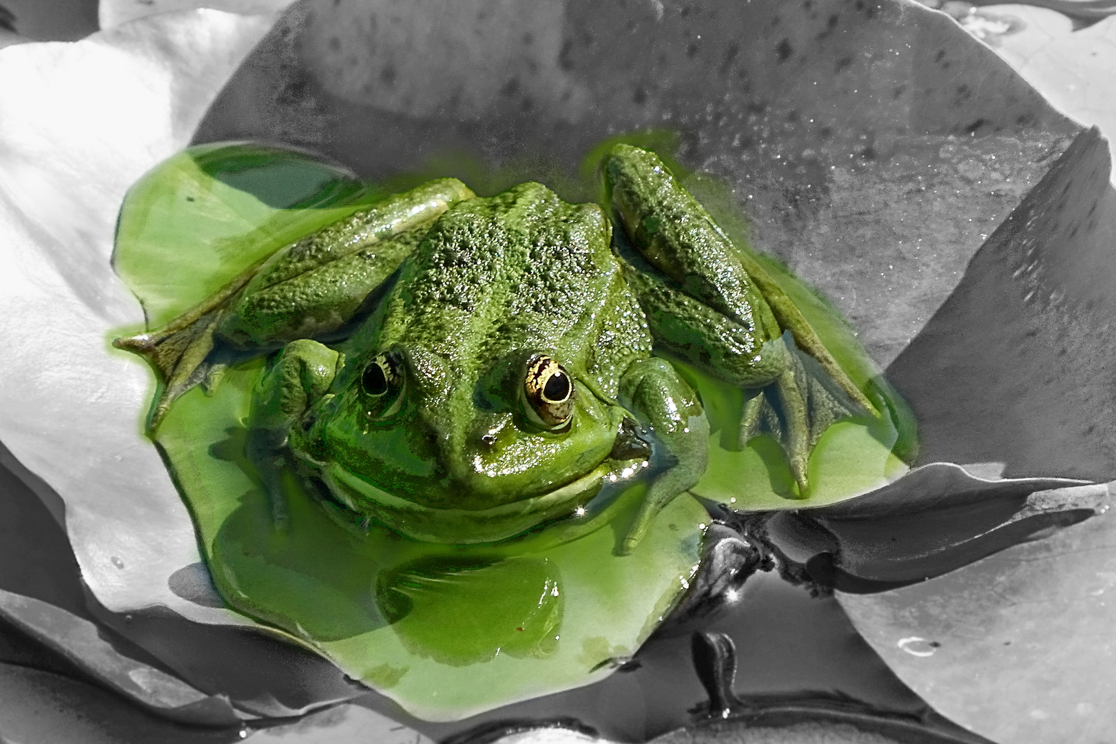 zu lange gebadet