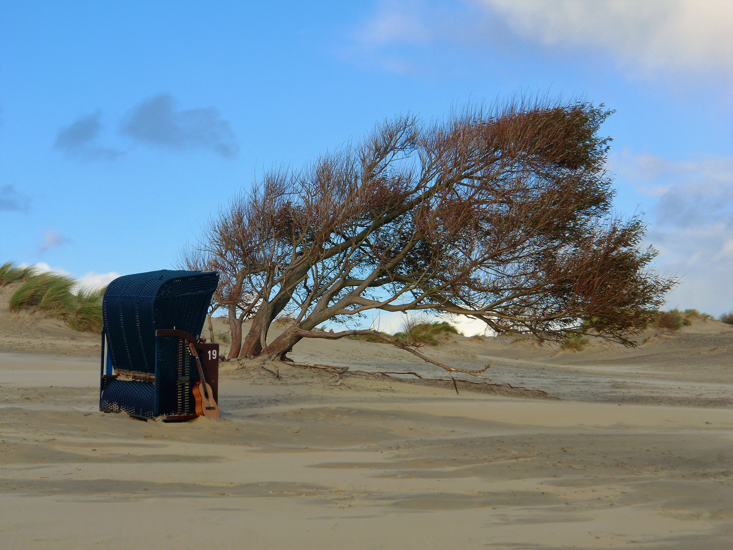 Zu lange im Wind gestanden