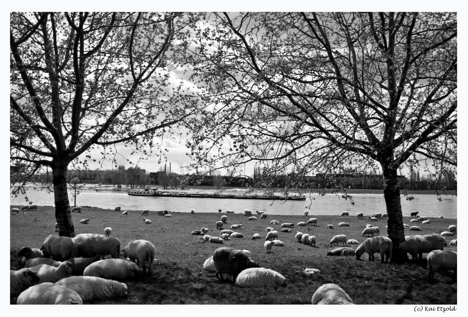 Zu Ostern am Rhein in s/w