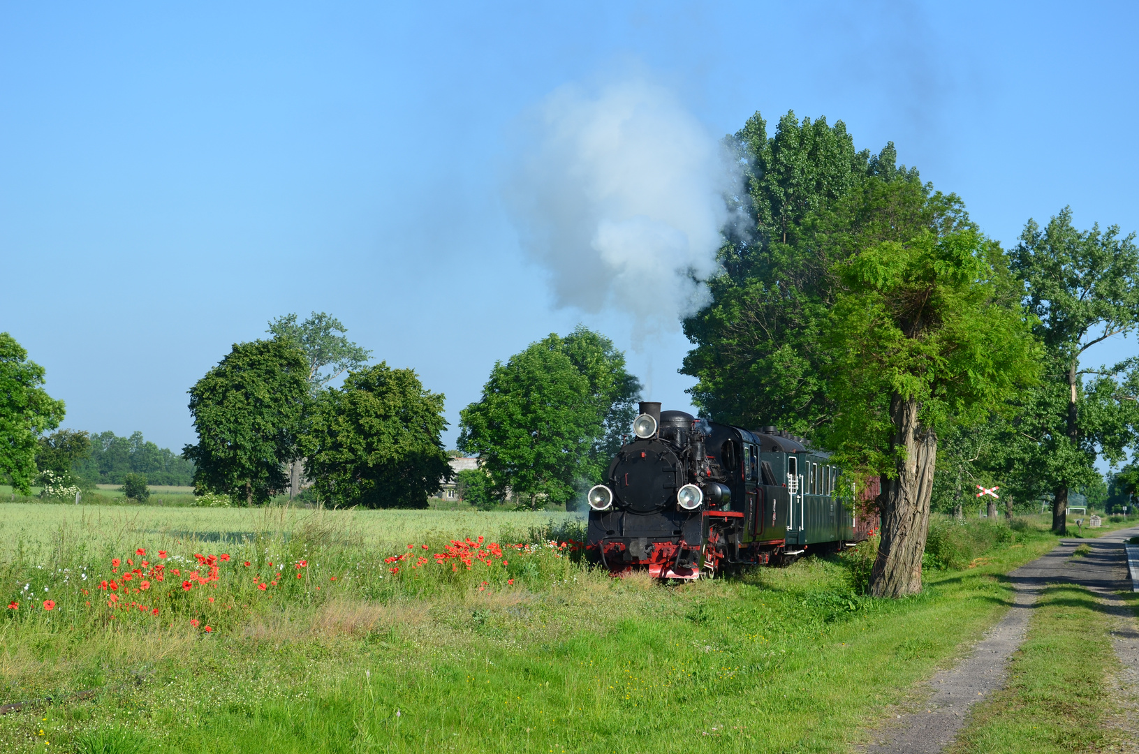 Zu Ostern Blümchen am Bahndamm