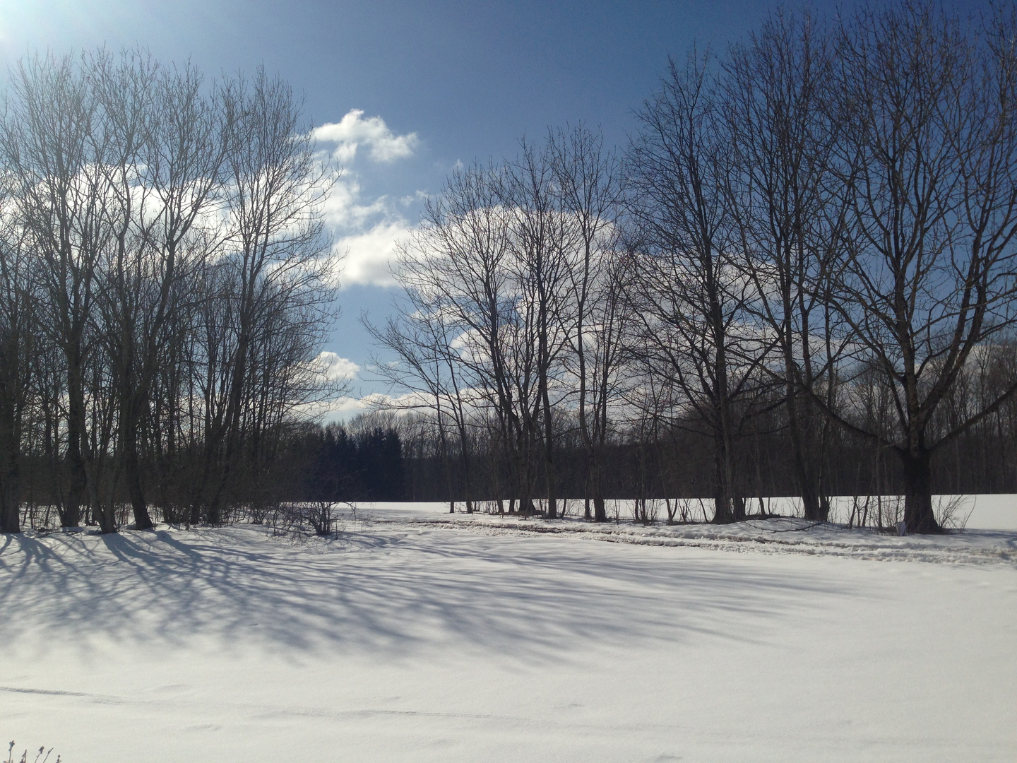 Zu Ostern der Schnee