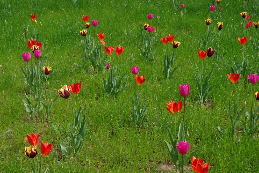 Zu Ostern