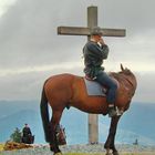 Zu Pferd ans Gipfelkreuz des Belchen (Hochschwarzwald 1415 m ü.d.M.)