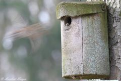 Zu schnell für den Fotografen :-)