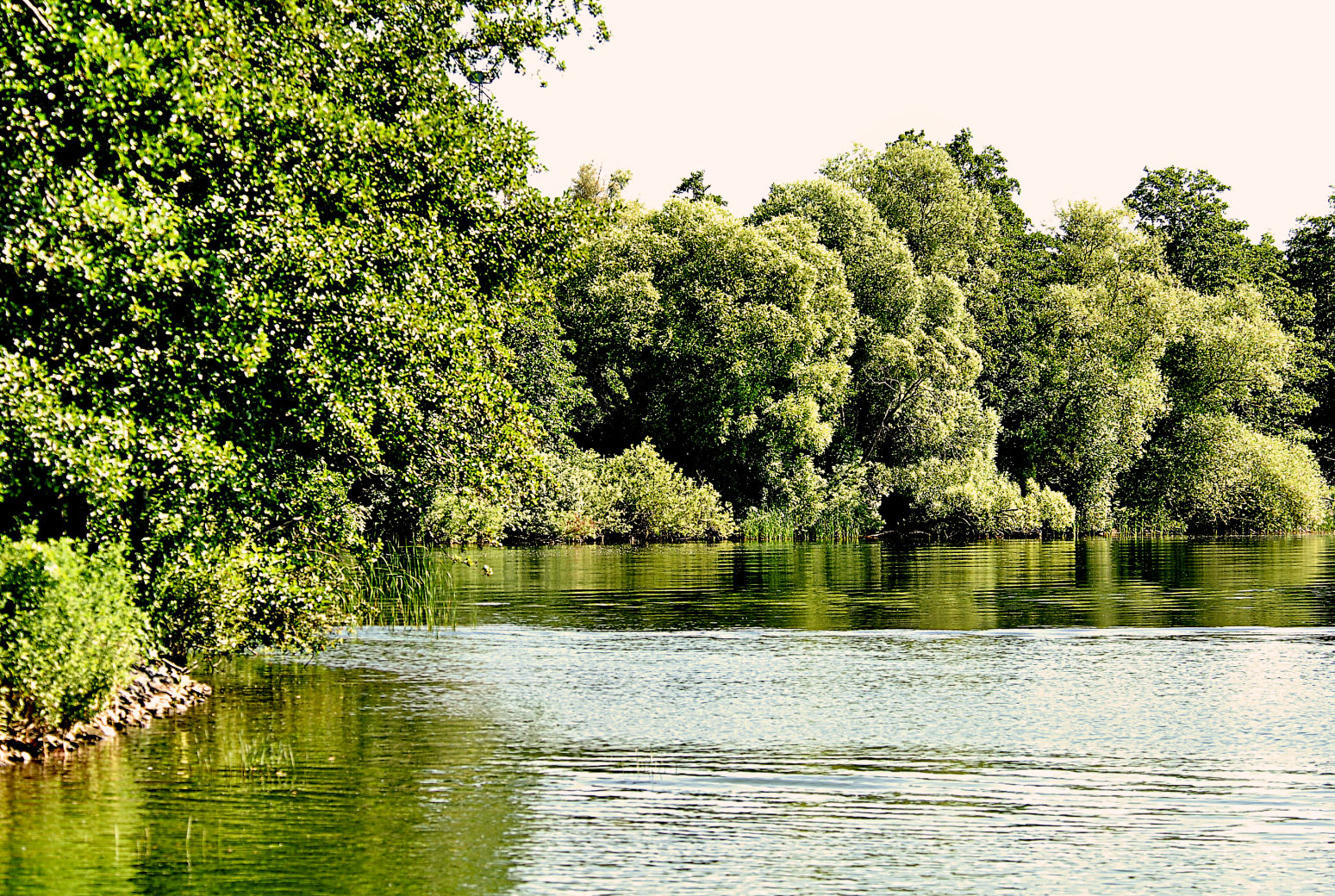 zu Schwerin