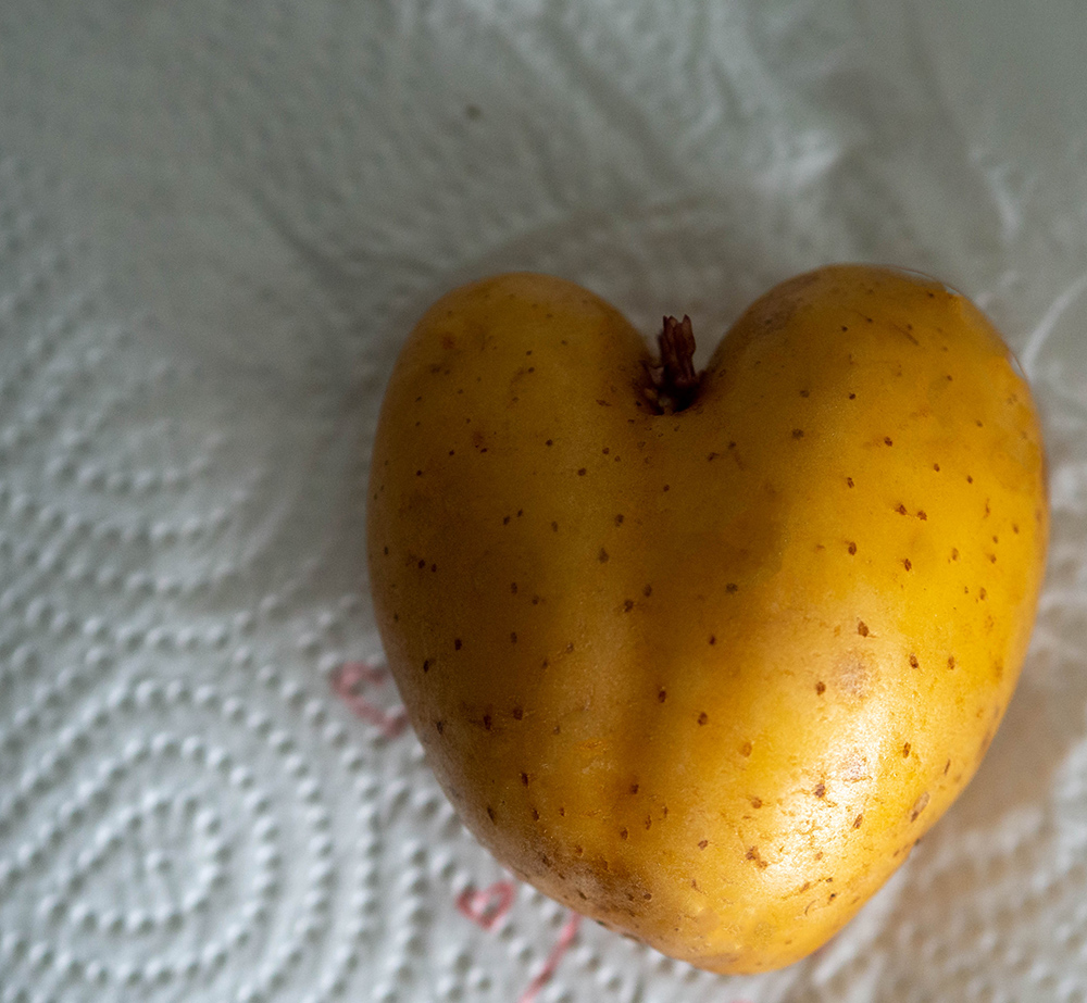 Zu Sohnemanns Geburtstag (Keine Blümchen)