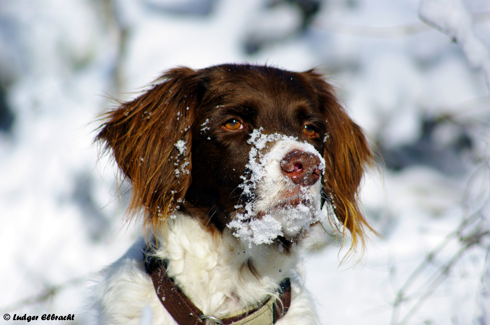 Zu tief in den Schnee geguckt