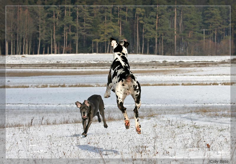 Zu viel Red Bull ? ;-)