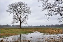 Zu viel Regen