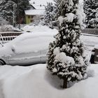 zu viel Schnee in Schwarzenbach am Wald