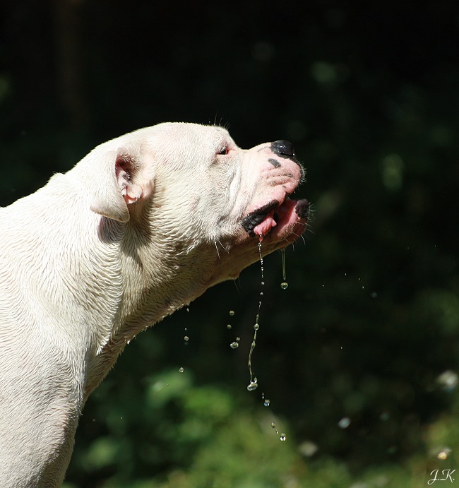 Zu viel Wasser!?