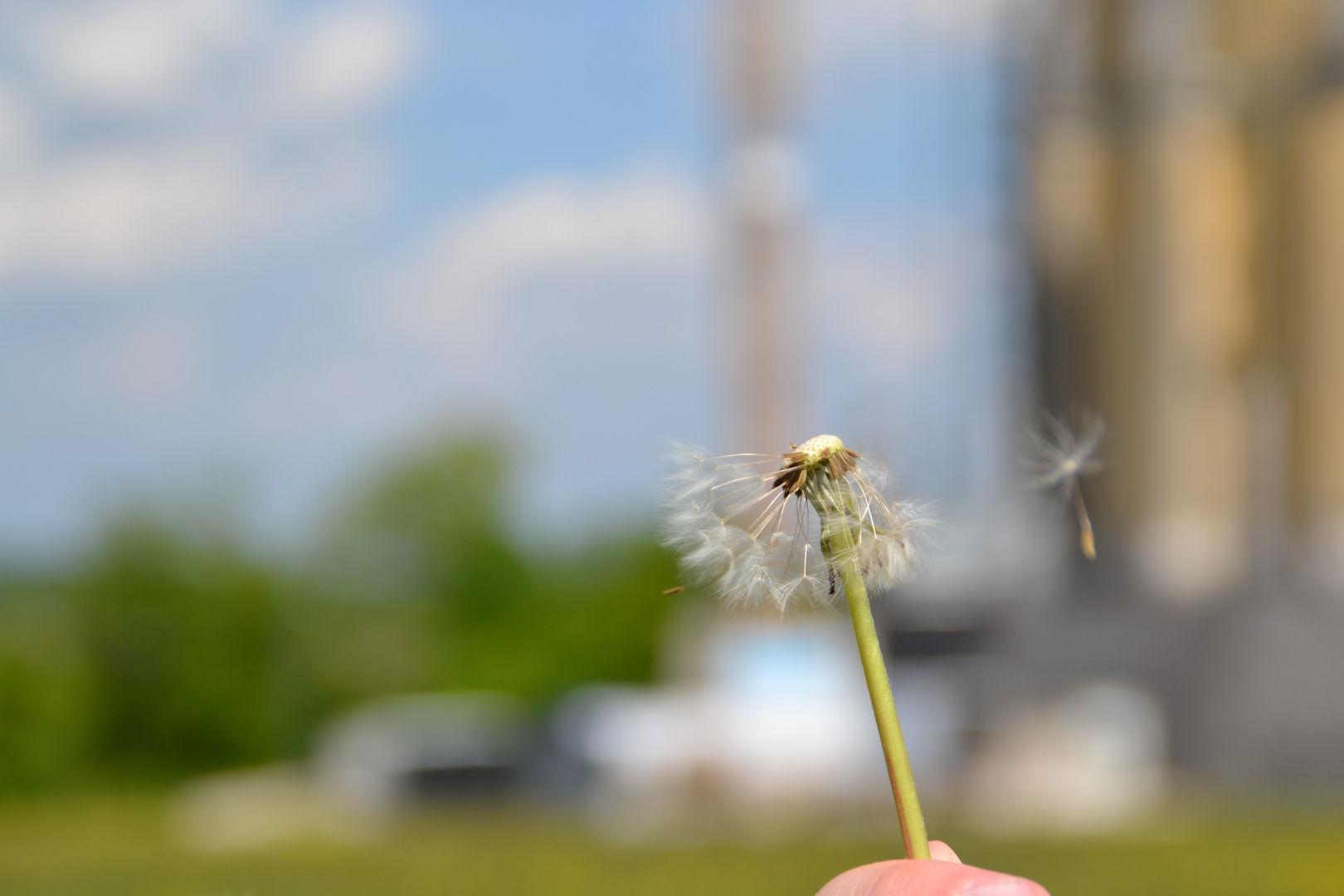 zu viel Wind