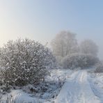 Zu Weihnachten: Licht auf all Euren Wegen!