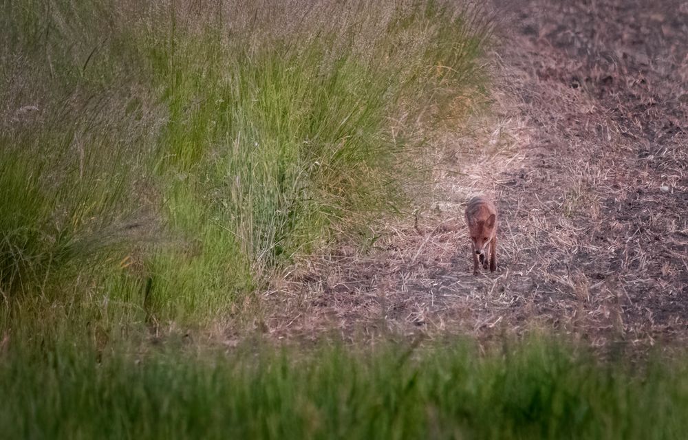 "ZU WEIT und ZU FRÜH" (ISO 5000)