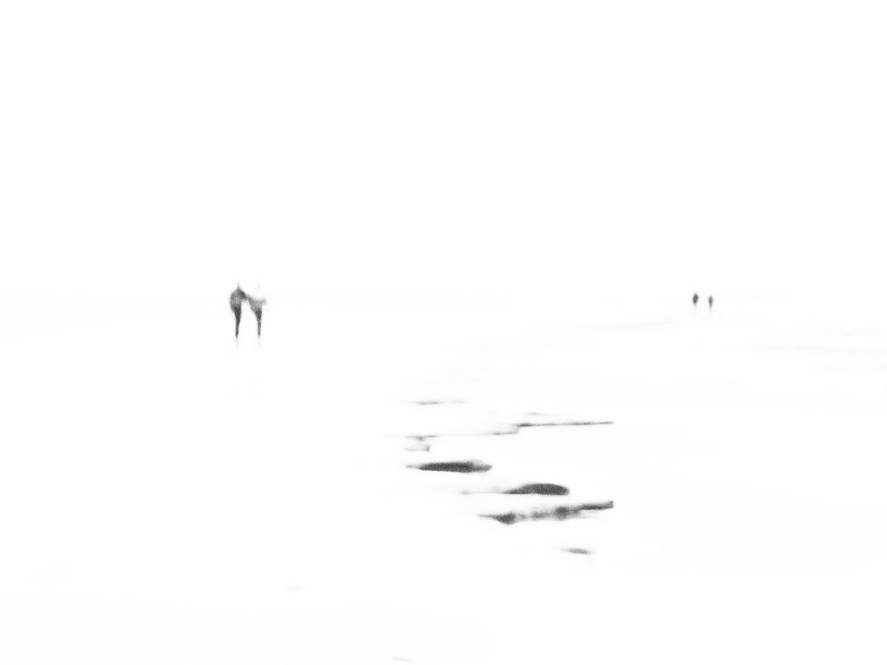 Zu Zweit Foto & Bild archiv, a r c h i v aktuell, faszinierende s w