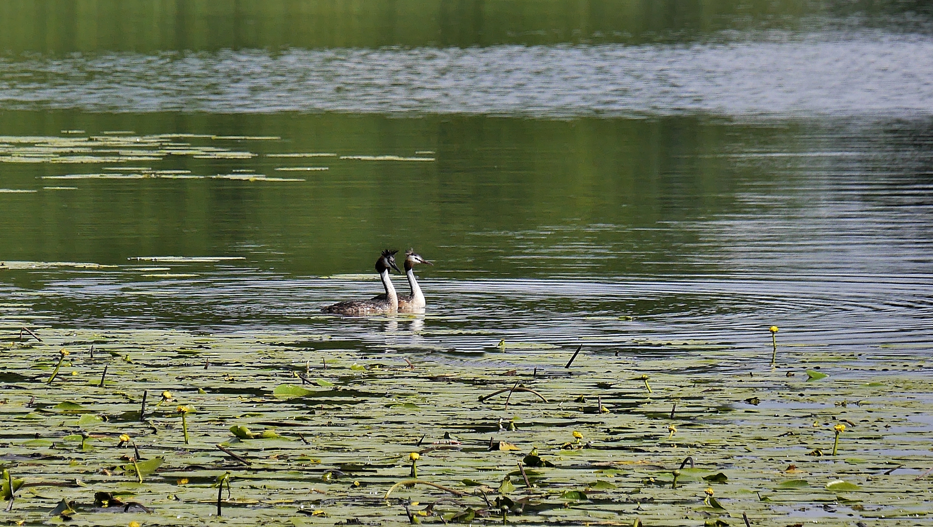 Zu zweit allein im großen See