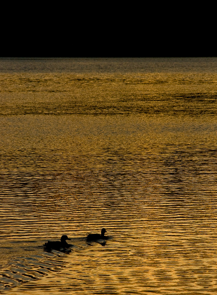 Zu Zweit auf großer See