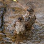 Zu zweit baden ist immer schön