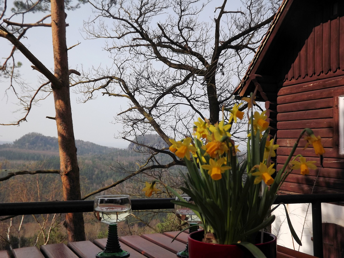 Zu zweit den Frühling genießen