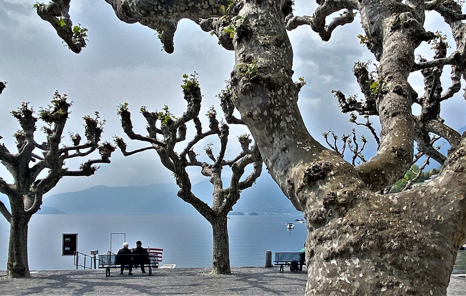 Zu zweit den Frühling geniessen