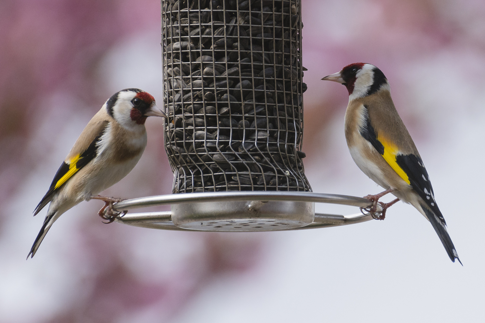 Zu zweit schmeckt´s noch besser