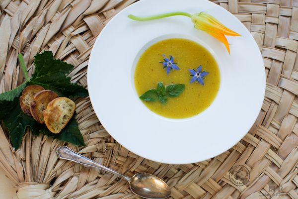 Zucchini Suppe