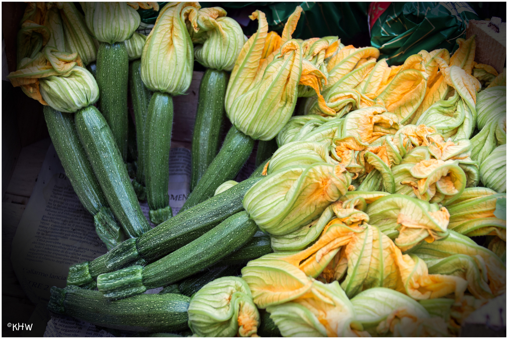 Zucchiniblüten