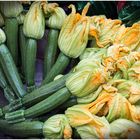 Zucchiniblüten