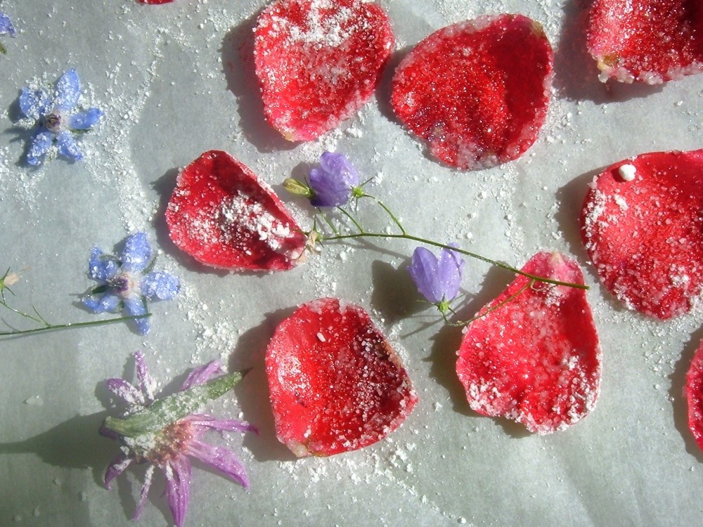 Zuckerblüten