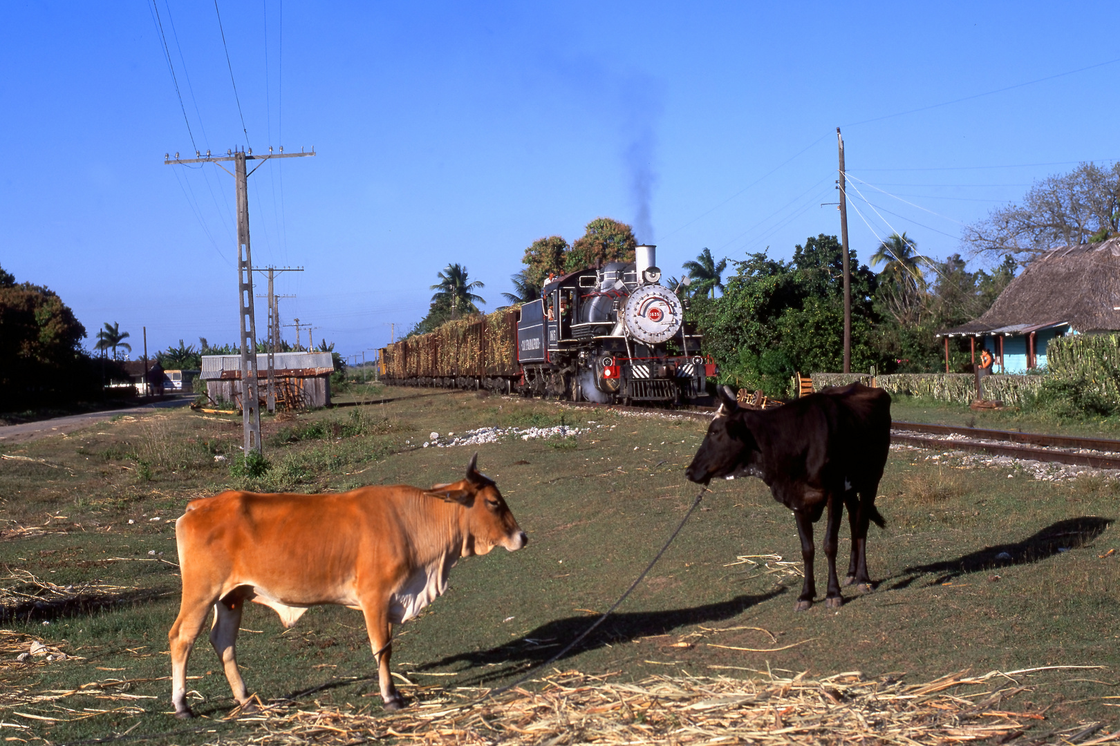 Zuckerdampf auf Cuba 12