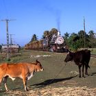 Zuckerdampf auf Cuba 12