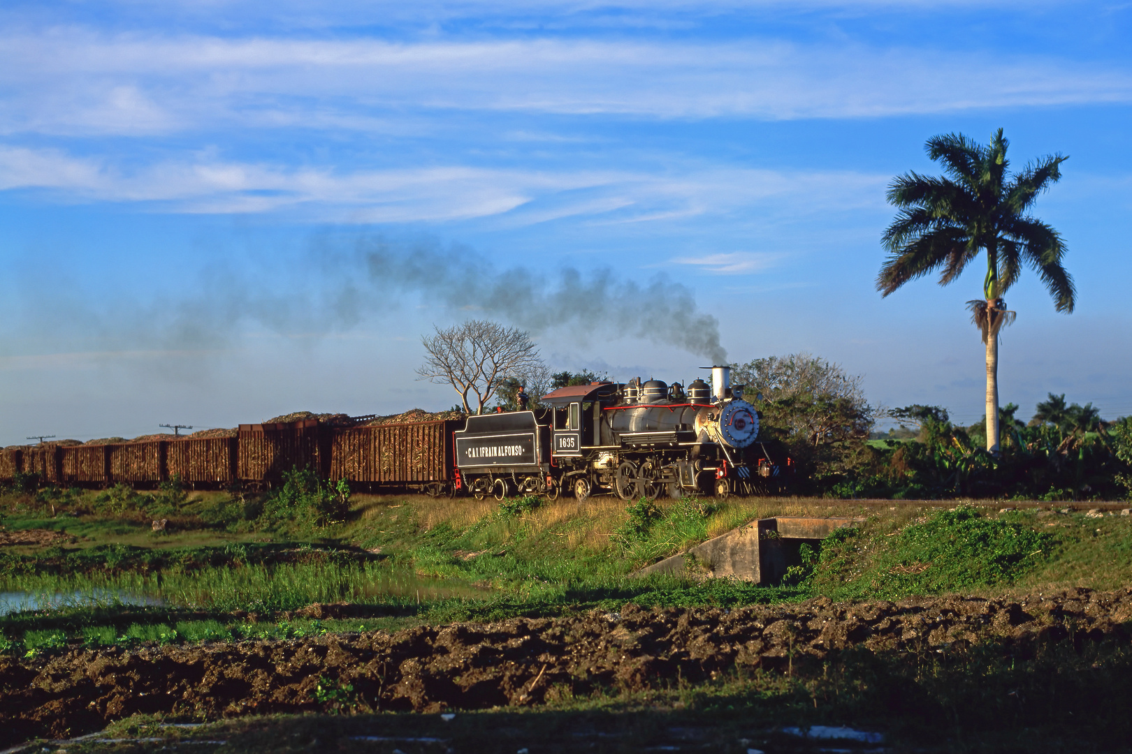 Zuckerdampf auf Cuba 65
