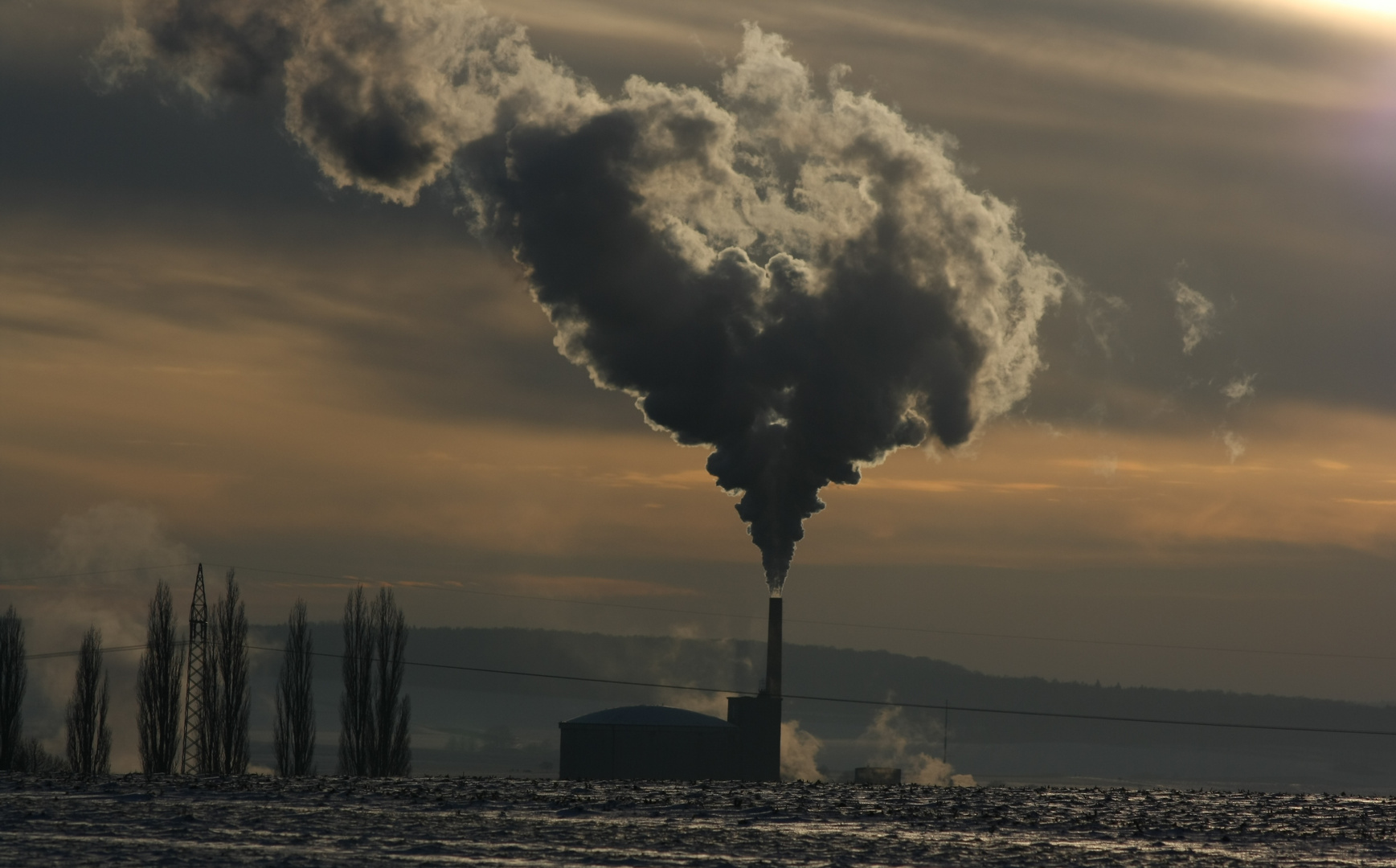 Zuckerdampfherz Warburg 2012-2