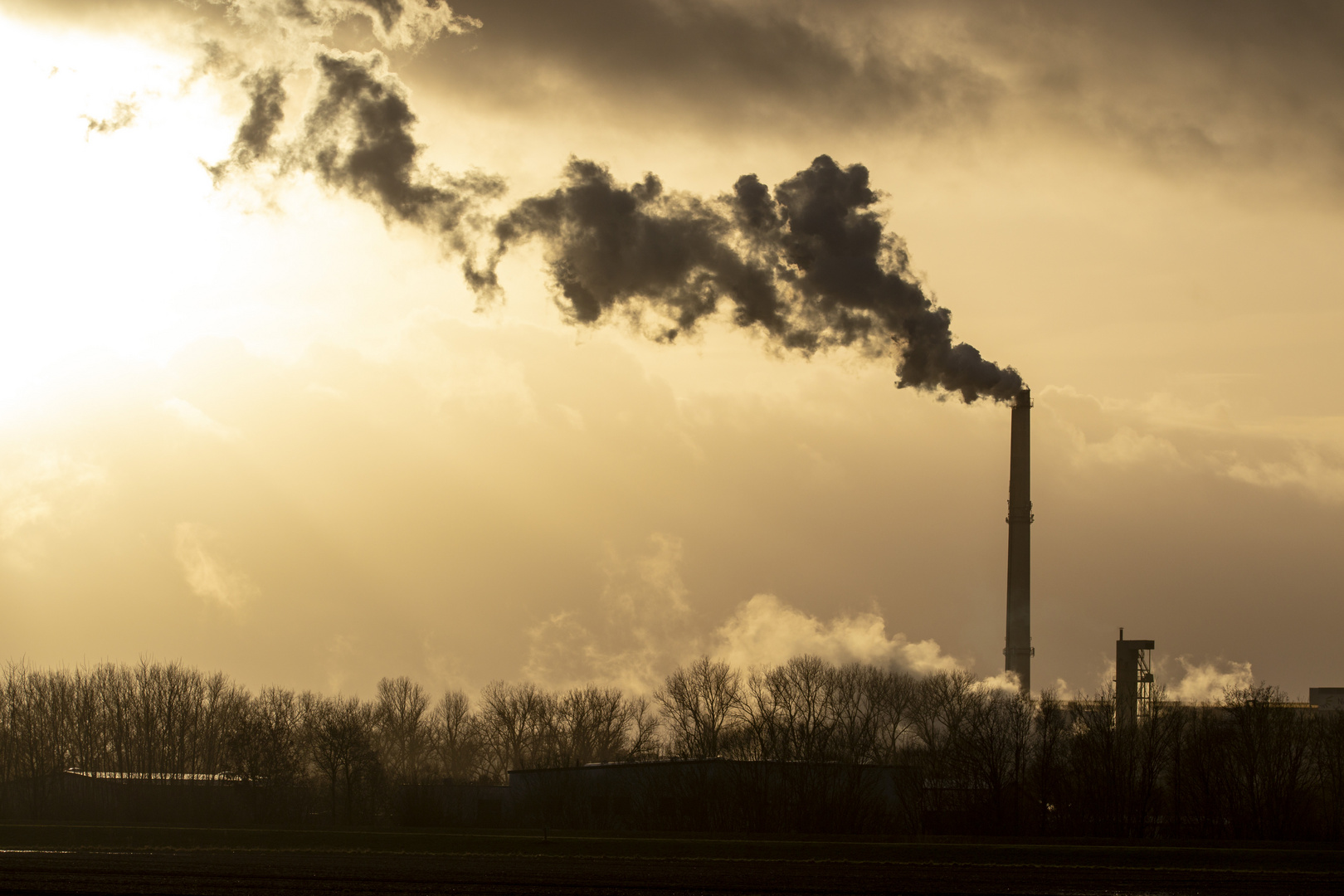 Zuckerfabrik im Sonnenuntergang