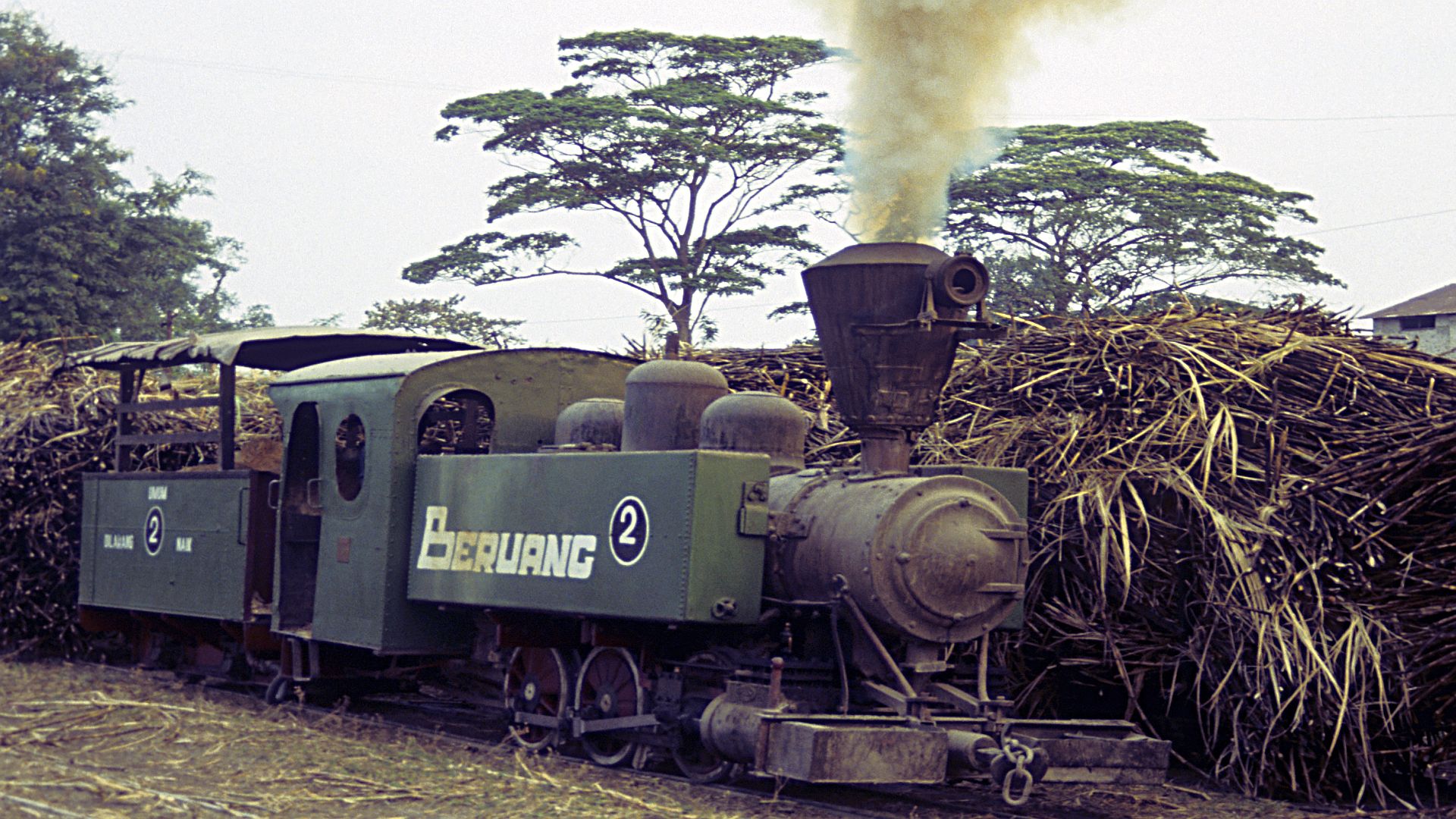 Zuckerfabrik PG Jatiwangi, 02 Beruang, Cirebon (Java, Indonesien), VIW 3042/1916, 12.September1994