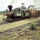 Zuckerfabrik PG Jatiwangi, Cirebon (Java, Indonesien), September 1994