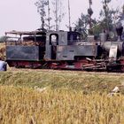 Zuckerfabrik PG Pangkah, Tegal (Java, Indonesien), Juli 2002