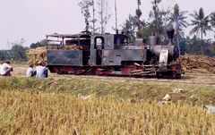 Zuckerfabrik PG Pangkah, Tegal (Java, Indonesien), Juli 2002