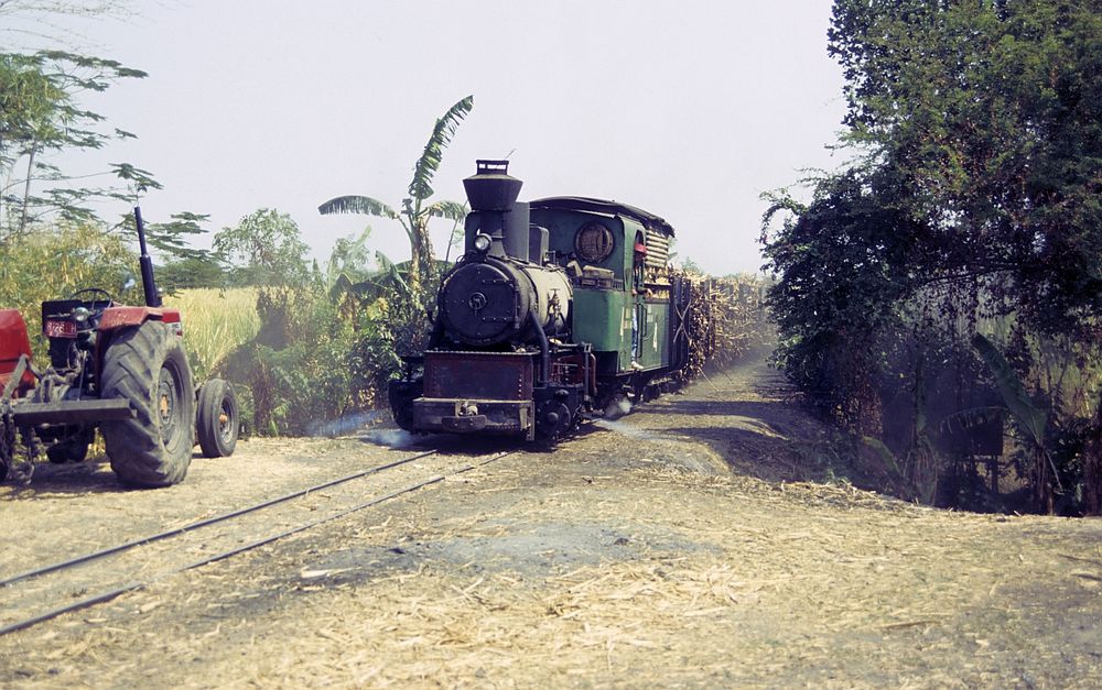 Zuckerfabrik PG Sindanglaut, Cirebon (Java, Indonesien), September 1994