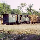 Zuckerfabrik PG Sragi, Pekalongan (Java, Indonesien), Juni 2003