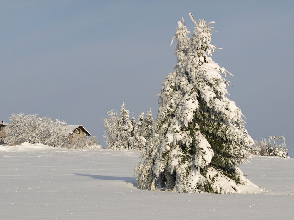 Zuckerguß Foto &amp; Bild | jahreszeiten, winter, natur Bilder auf ...