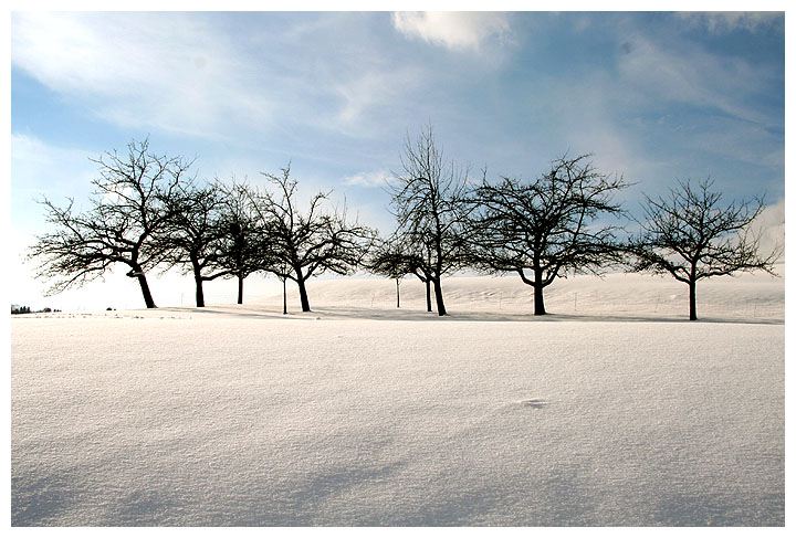 Zuckerguß Foto &amp; Bild | jahreszeiten, winter, natur Bilder auf ...