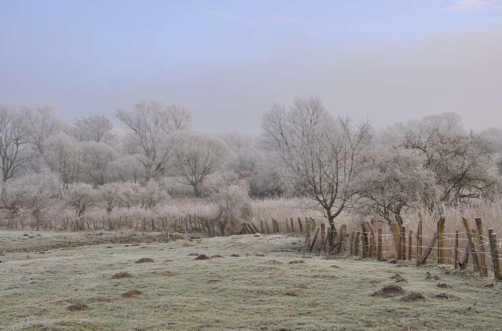 Zuckerguss am Morgen 1